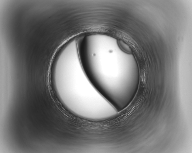 X0000098170388200804241014