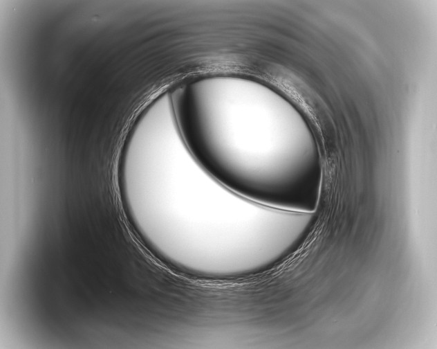 X0000098170389200804241014
