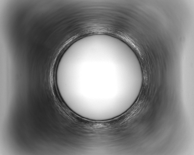 X0000098170390200804241014