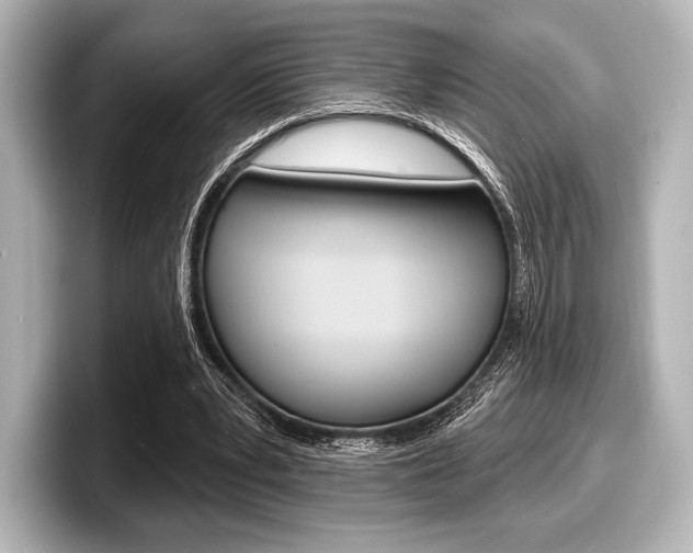 X0000098170391200804241014