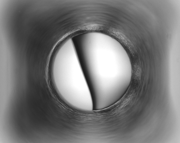 X0000098170392200804241014