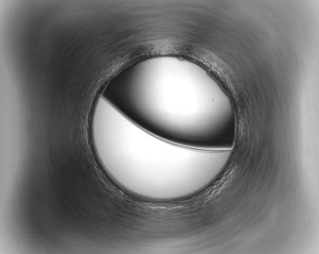 X0000098170393200804241014