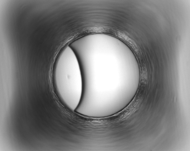 X0000098170394200804241014