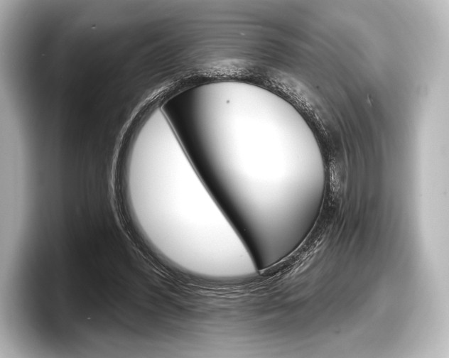 X0000098170396200804241014
