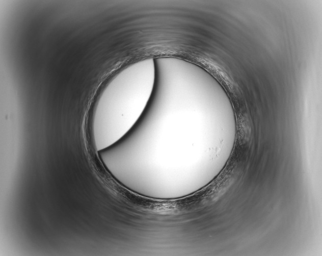X0000098170398200804241014