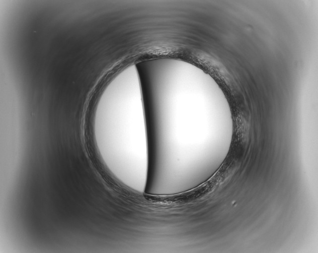 X0000098170400200804241014