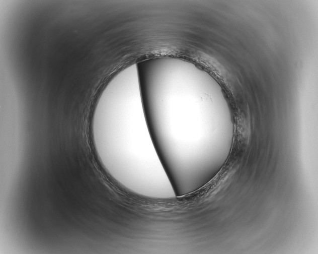 X0000098170401200804241014