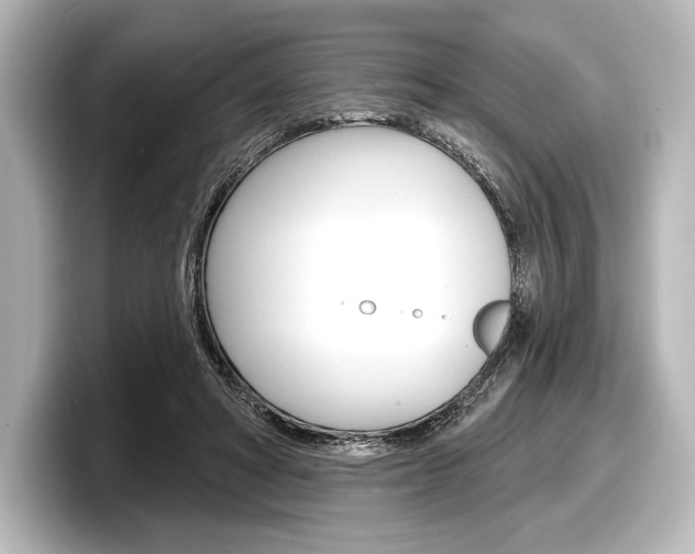 X0000098170402200804241014