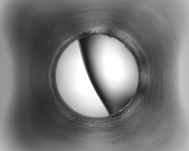 X0000098170403200804241014