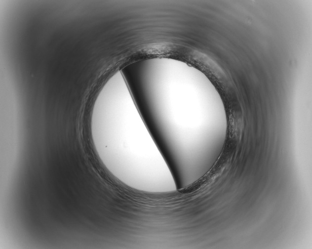 X0000098170404200804241014