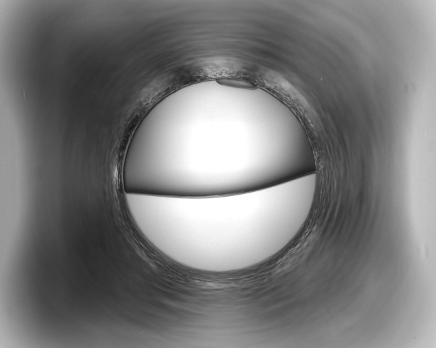 X0000098170405200804241014