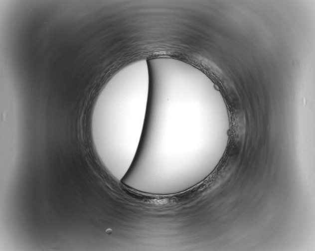 X0000098170406200804241014