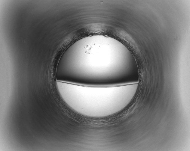 X0000098170407200804241014