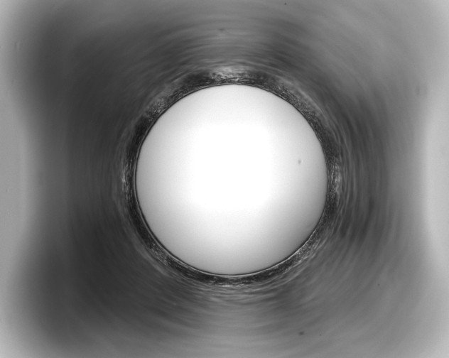X0000098170408200804241014