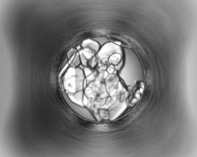 X0000098170409200804241014