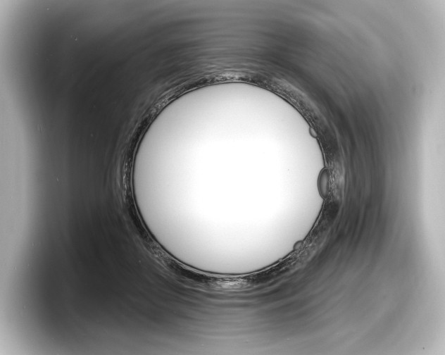 X0000098170410200804241014