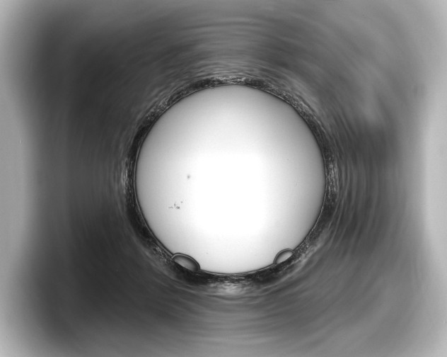 X0000098170412200804241014