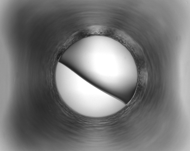 X0000098170413200804241014