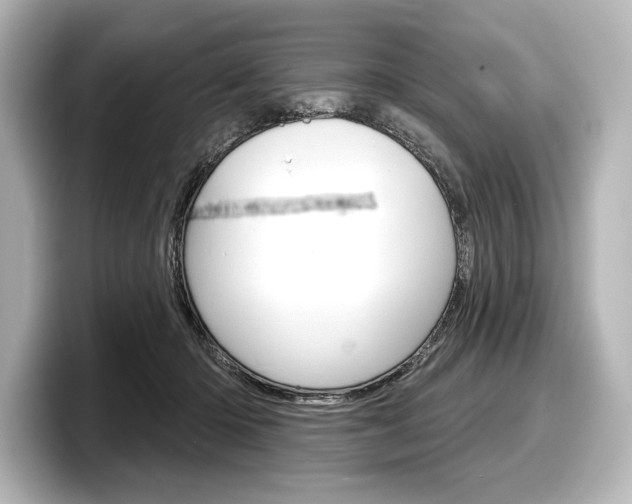 X0000098170414200804241014