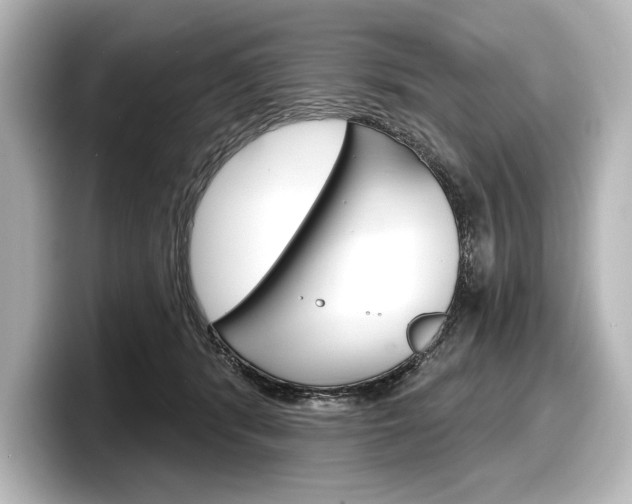 X0000098170416200804241014