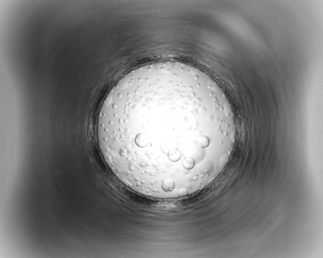 X0000098170418200804241014