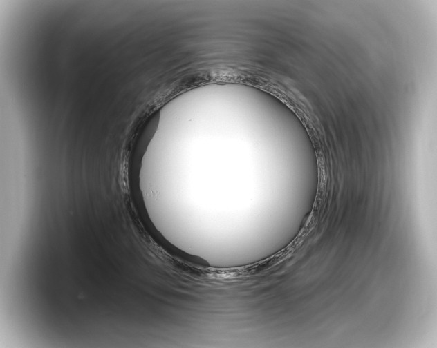 X0000098170419200804241014