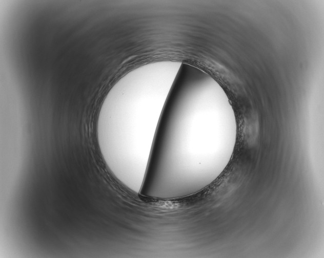 X0000098170421200804241014