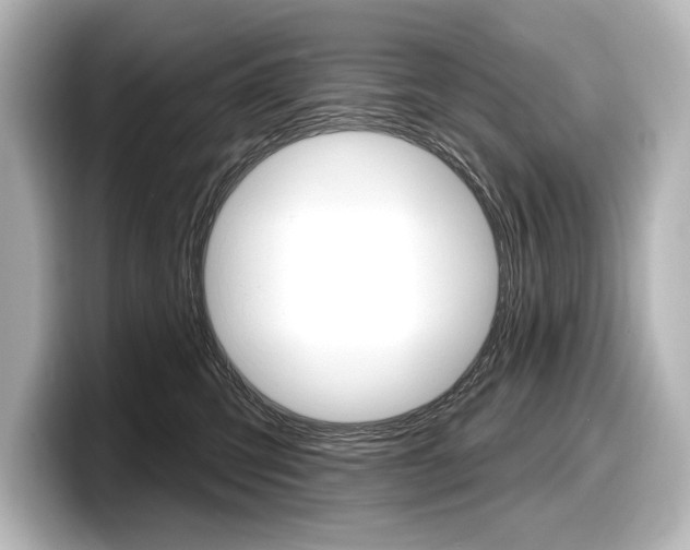 X0000098170423200804241013