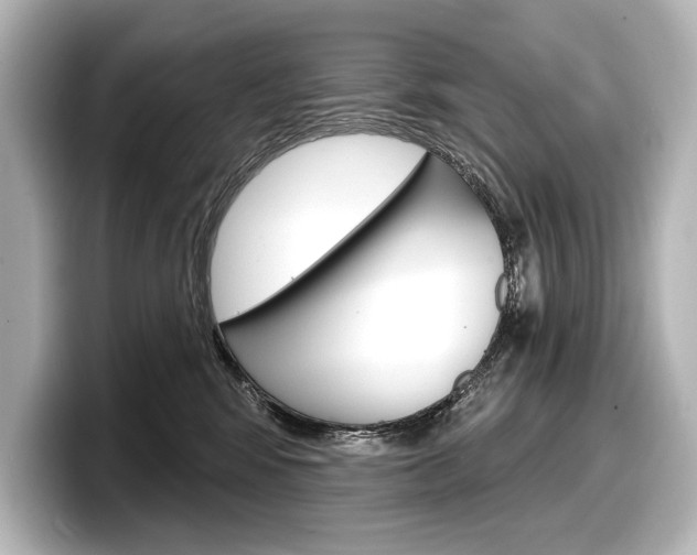 X0000098170424200804241013