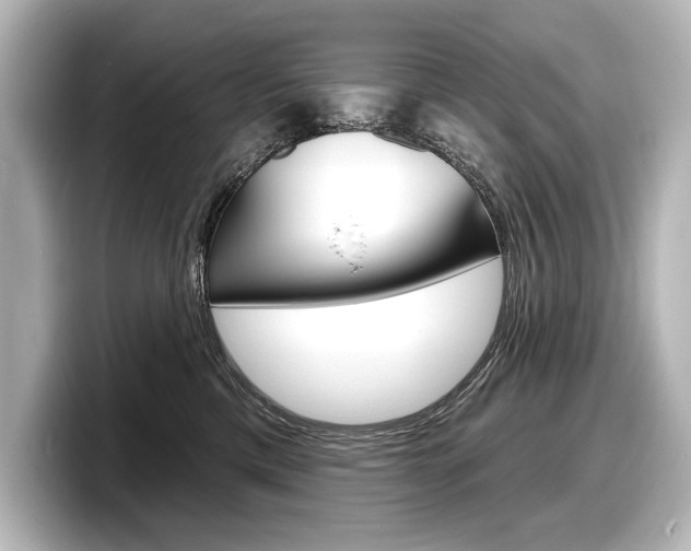 X0000098170425200804241013