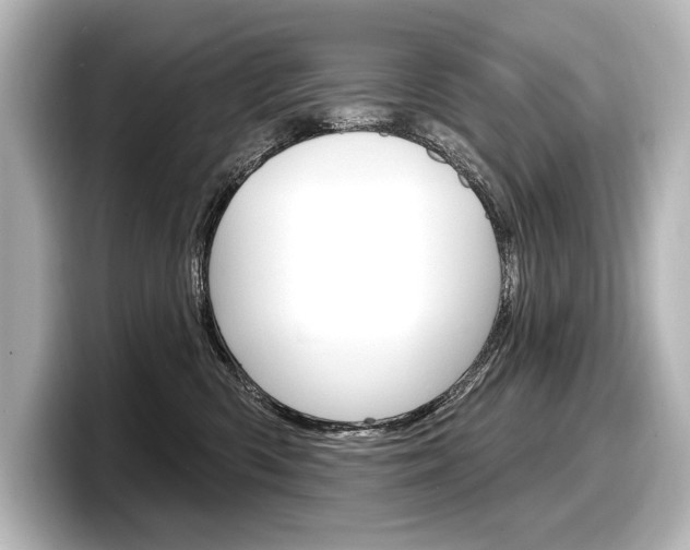 X0000098170426200804241013