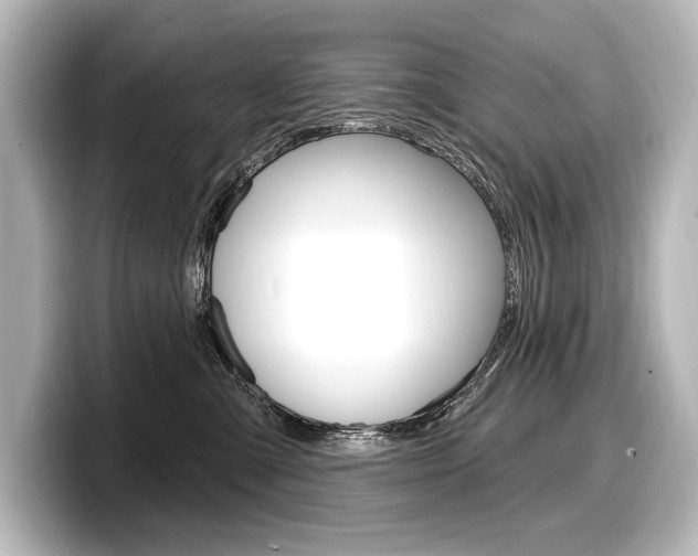 X0000098170427200804241013