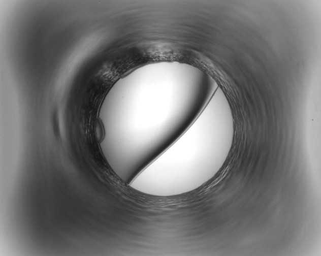 X0000098170429200804241013