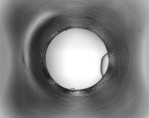X0000098170430200804241013