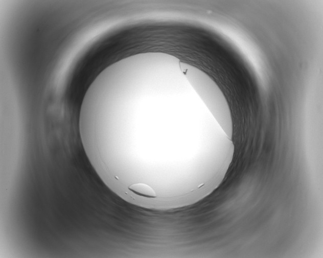 X0000098170431200804241013