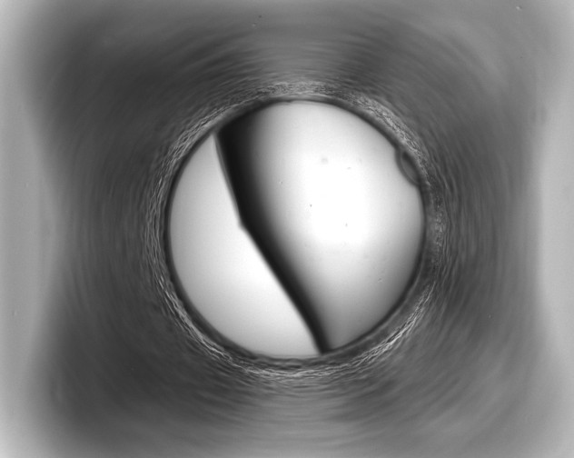 X0000098170433200804241013