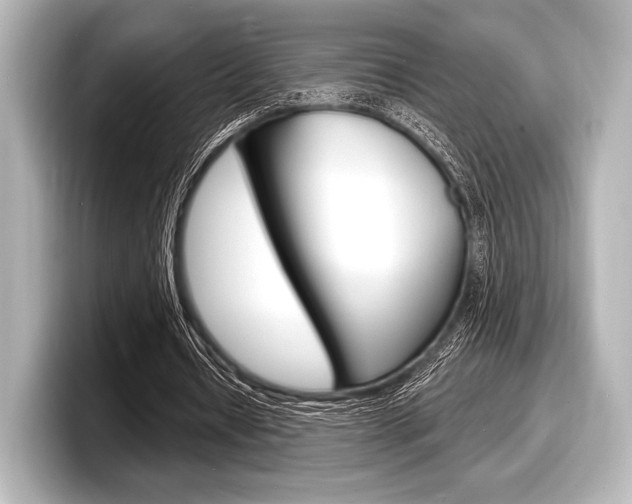 X0000098170434200804241013