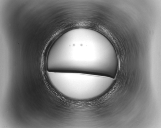 X0000098170435200804241013