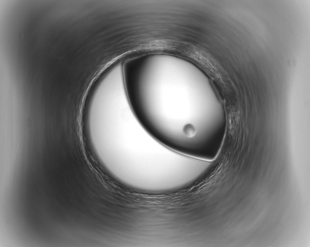 X0000098170436200804241013