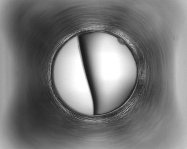 X0000098170437200804241013