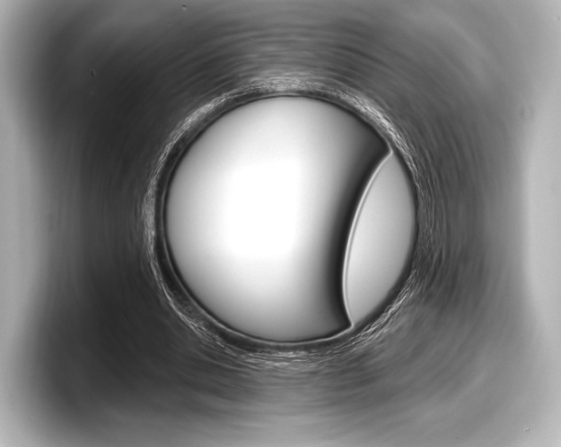 X0000098170438200804241013