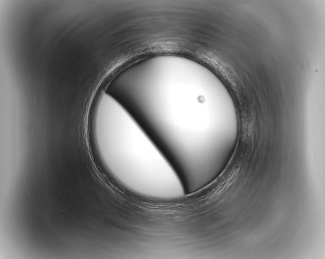X0000098170439200804241013