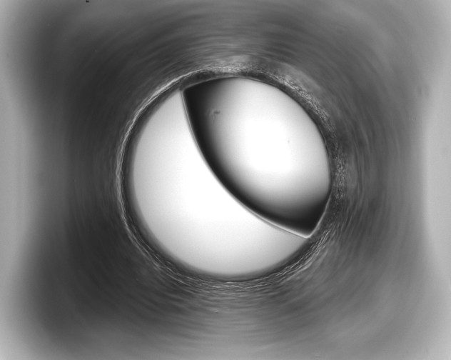 X0000098170440200804241013