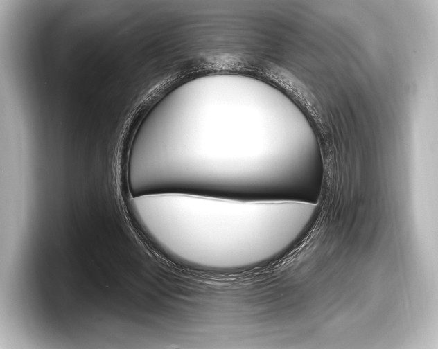 X0000098170442200804241013