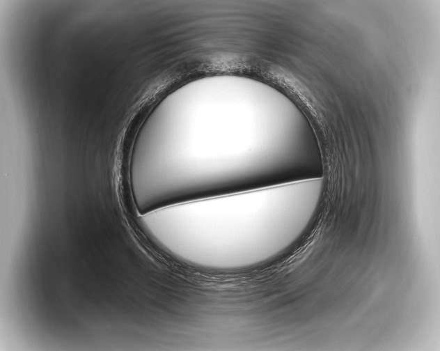 X0000098170443200804241013
