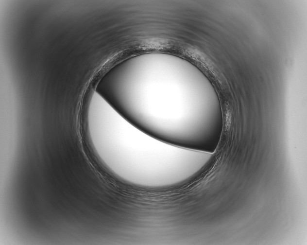 X0000098170444200804241013