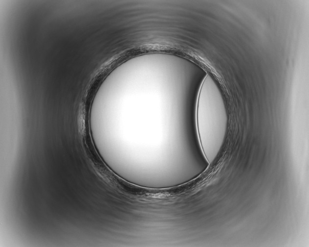 X0000098170446200804241013