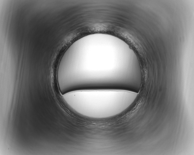 X0000098170447200804241013
