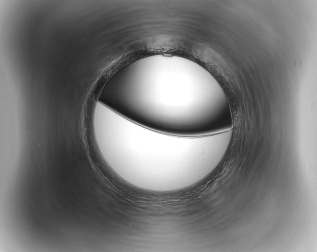 X0000098170448200804241013