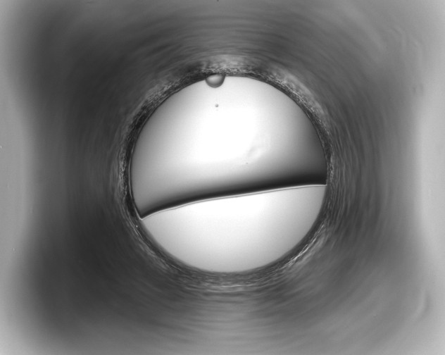 X0000098170449200804241013